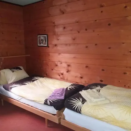 Holzwurm By Interhome Oberried am Brienzersee